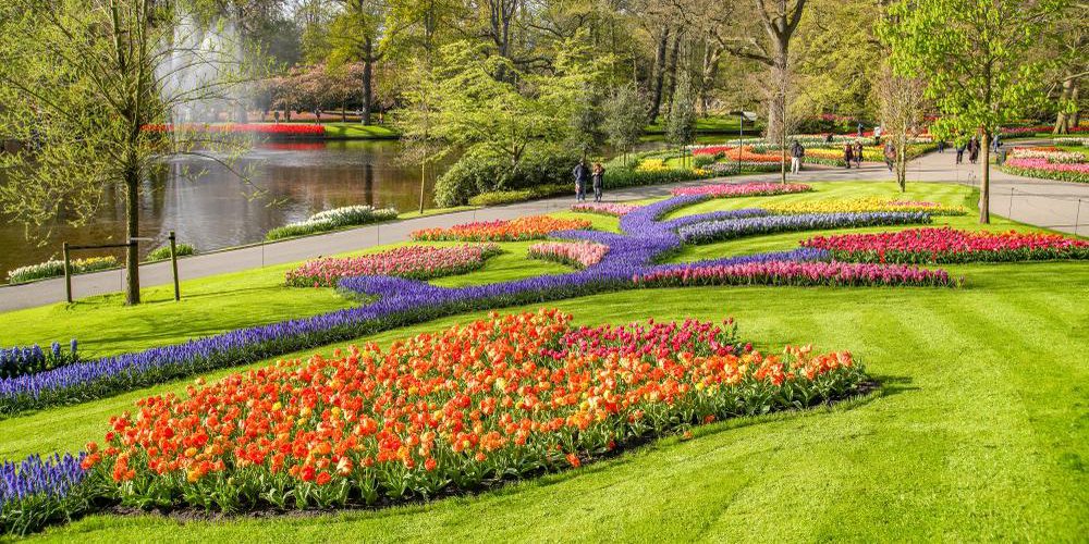 Keukenhof